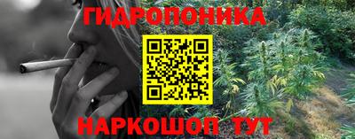 apvp Нягань